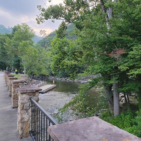 Bear Necessities, Luxury 5Bd Mtn Views, Hot Tub, Many Bear Sightings Villa Gatlinburg Kültér fotó