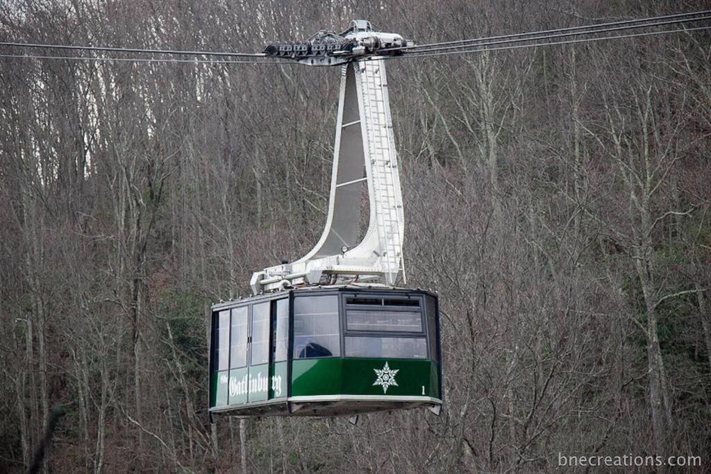 Bear Necessities, Luxury 5Bd Mtn Views, Hot Tub, Many Bear Sightings Villa Gatlinburg Kültér fotó