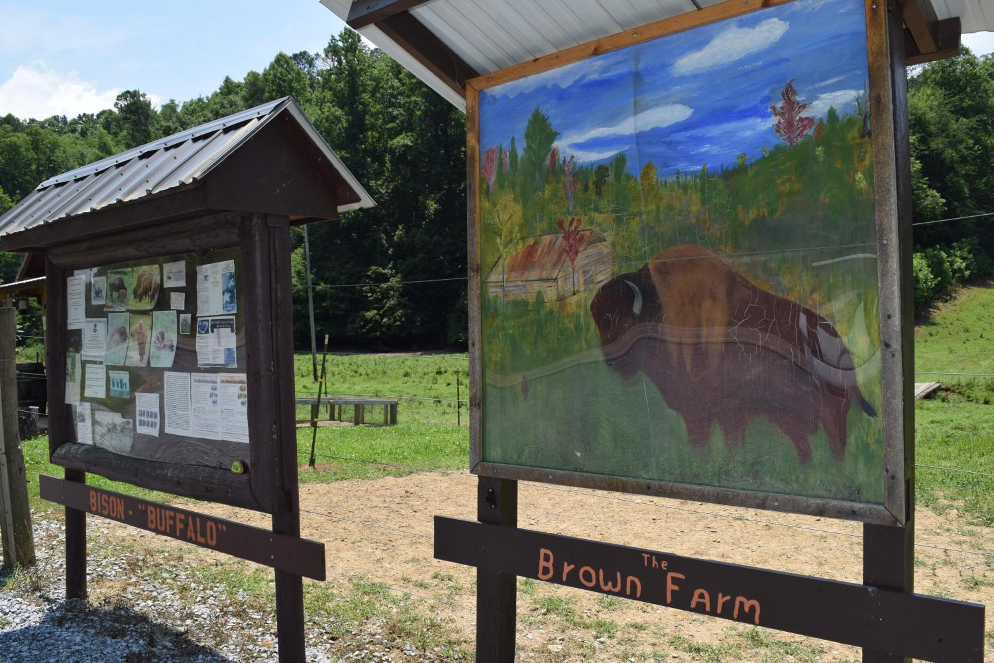Bear Necessities, Luxury 5Bd Mtn Views, Hot Tub, Many Bear Sightings Villa Gatlinburg Kültér fotó