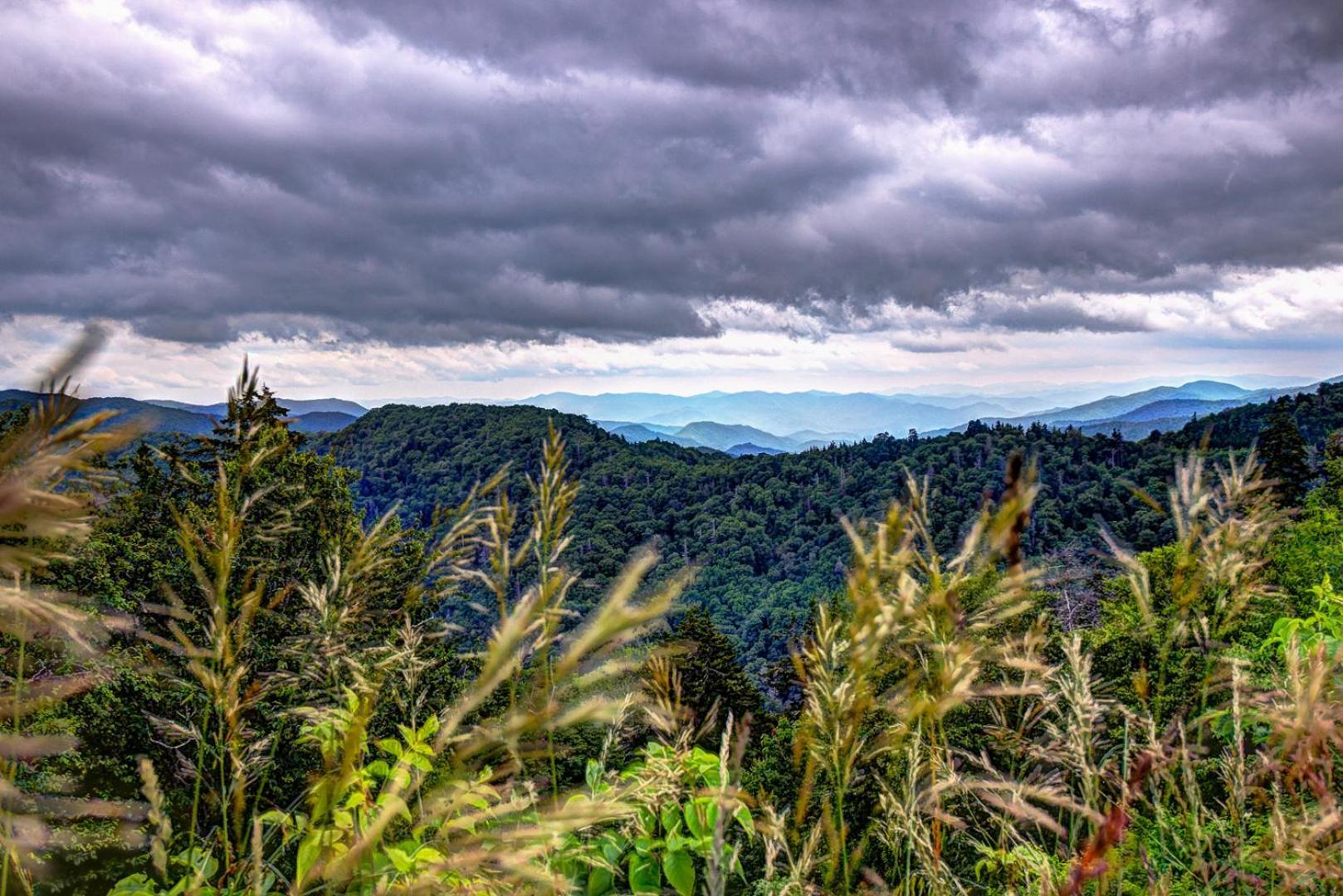 Bear Necessities, Luxury 5Bd Mtn Views, Hot Tub, Many Bear Sightings Villa Gatlinburg Kültér fotó