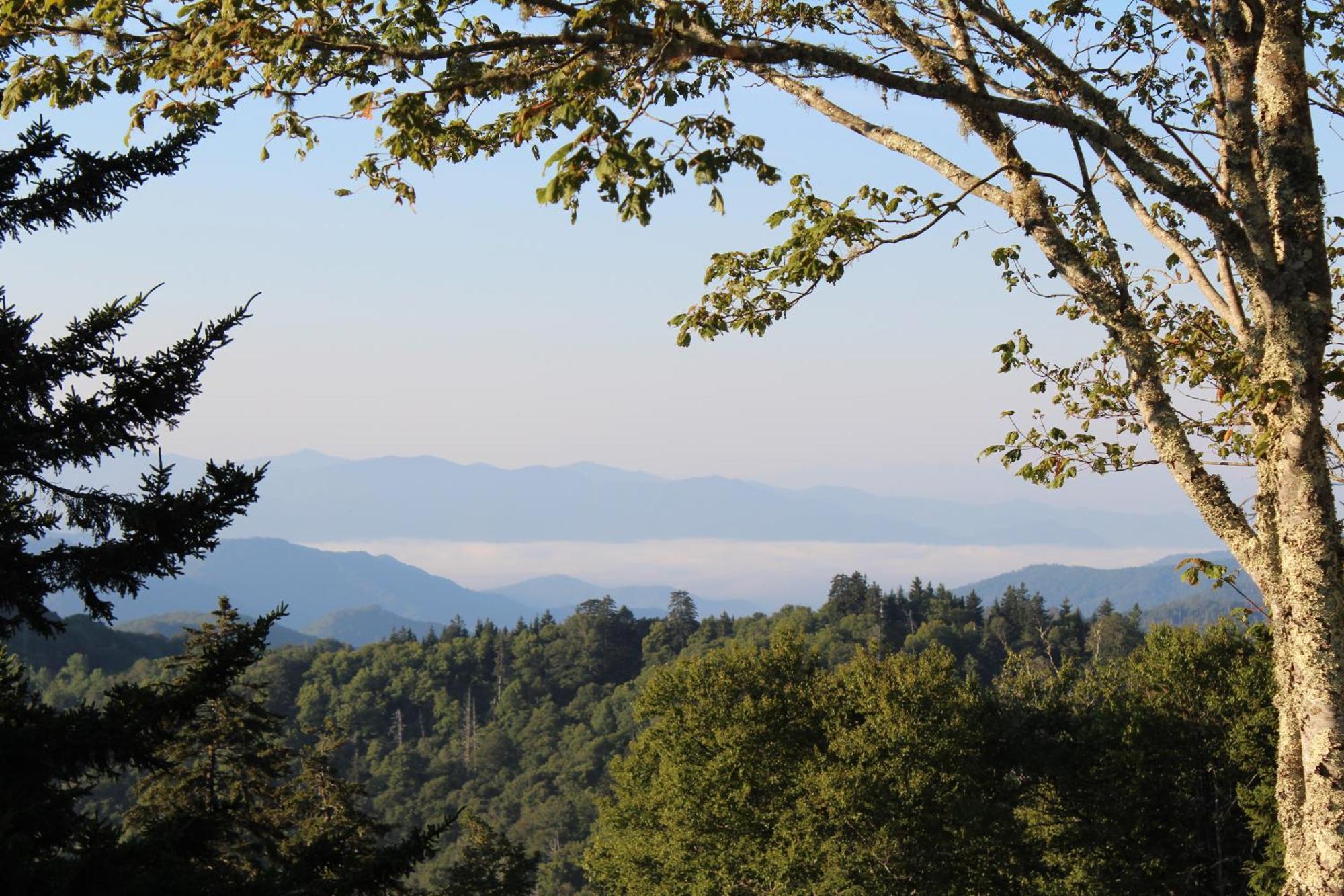 Bear Necessities, Luxury 5Bd Mtn Views, Hot Tub, Many Bear Sightings Villa Gatlinburg Kültér fotó