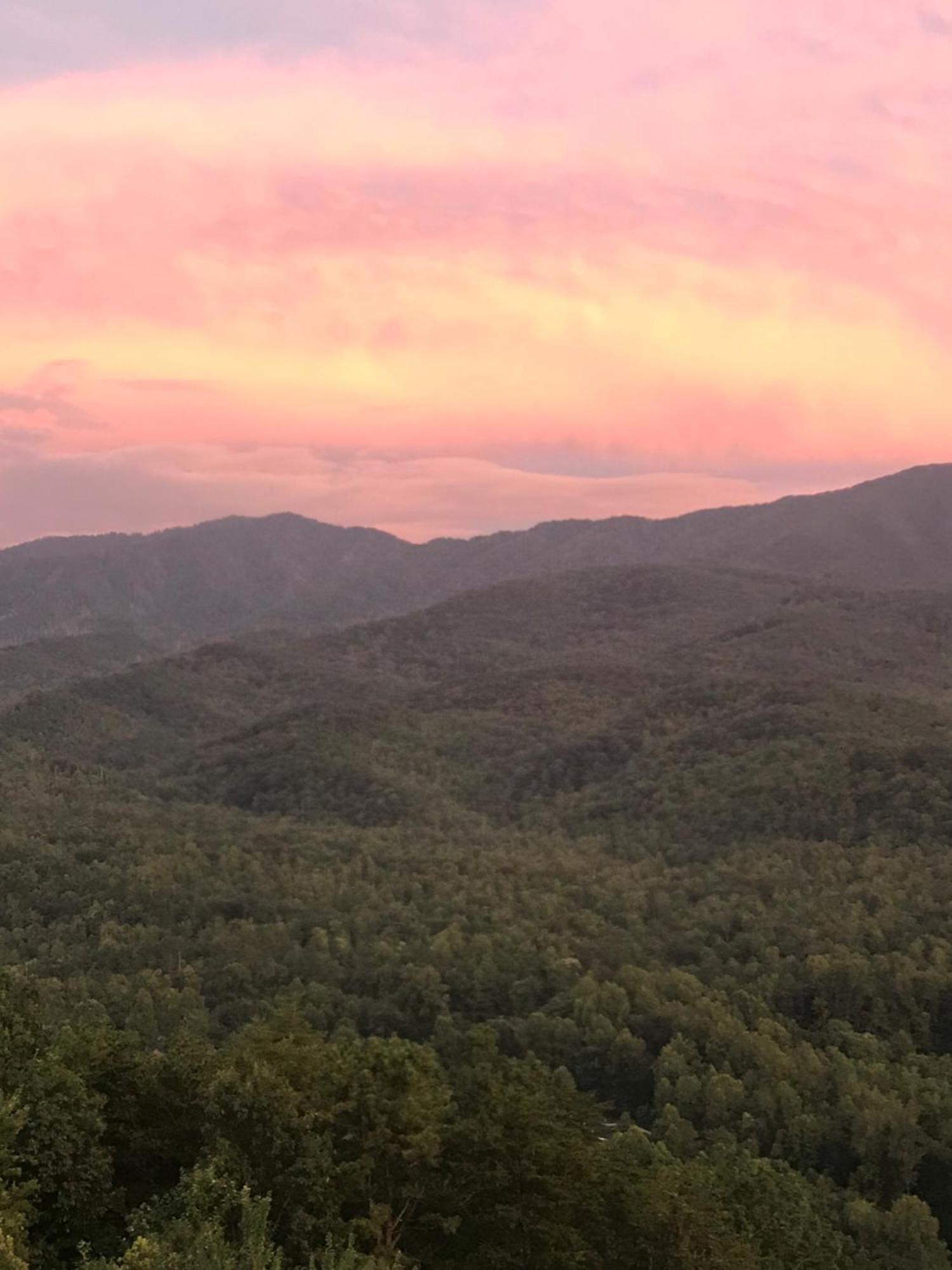 Bear Necessities, Luxury 5Bd Mtn Views, Hot Tub, Many Bear Sightings Villa Gatlinburg Kültér fotó