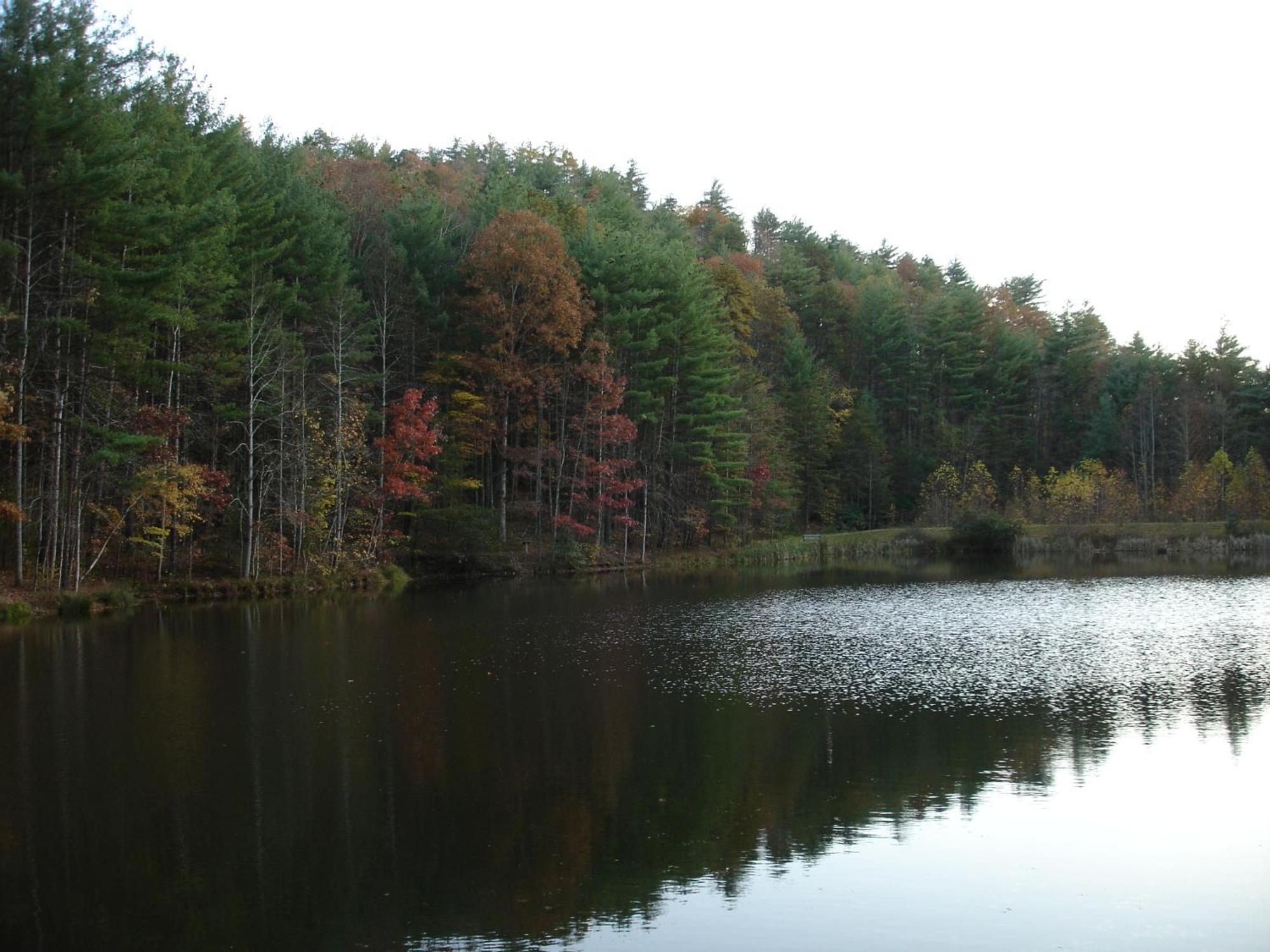 Bear Necessities, Luxury 5Bd Mtn Views, Hot Tub, Many Bear Sightings Villa Gatlinburg Kültér fotó