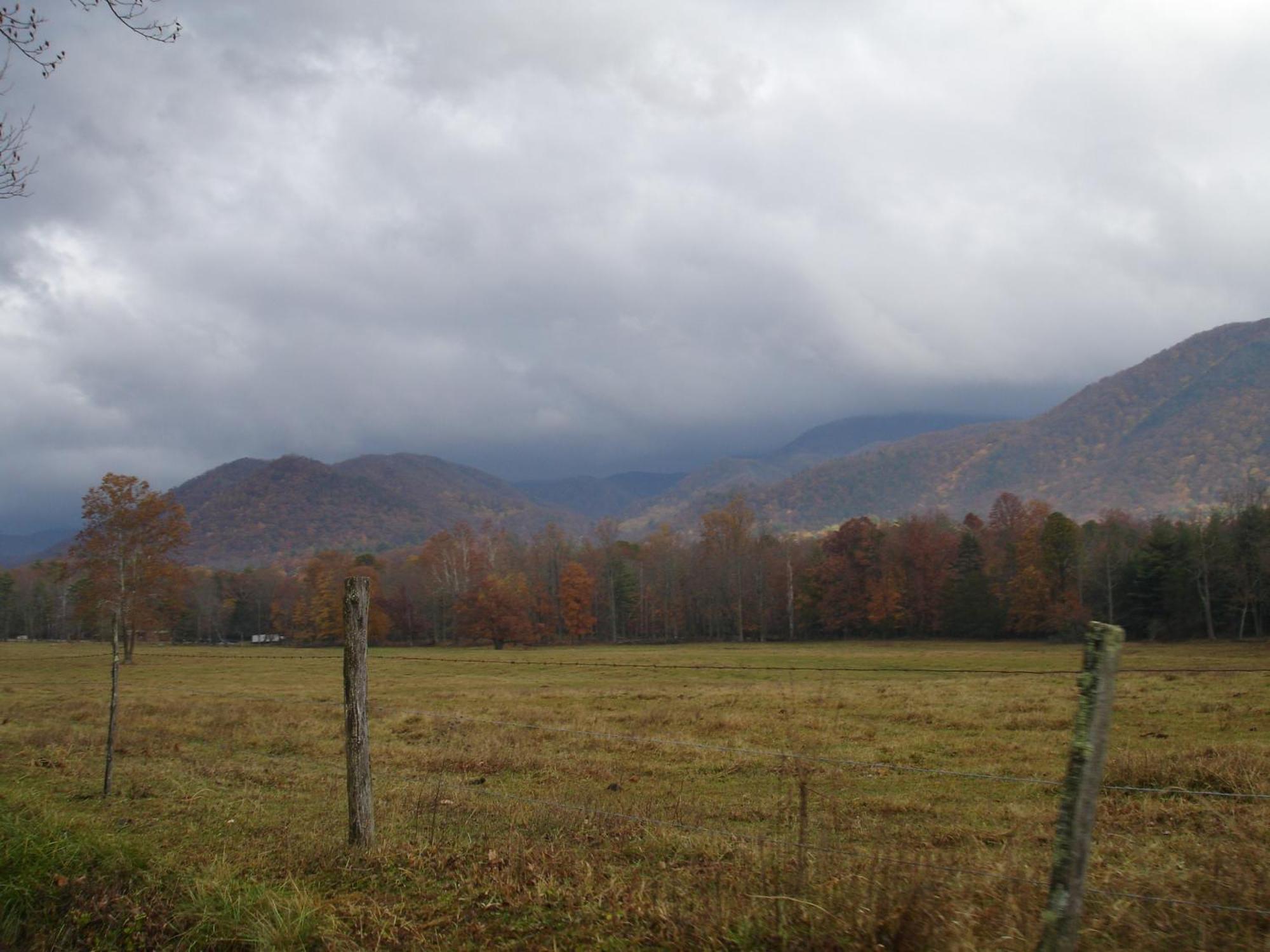 Bear Necessities, Luxury 5Bd Mtn Views, Hot Tub, Many Bear Sightings Villa Gatlinburg Kültér fotó