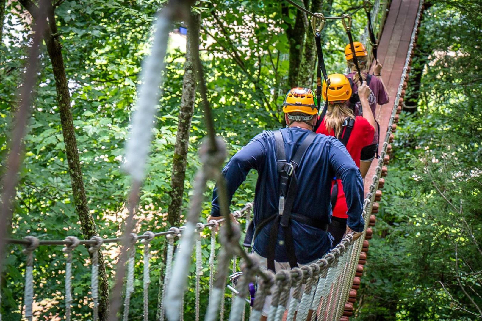 Bear Necessities, Luxury 5Bd Mtn Views, Hot Tub, Many Bear Sightings Villa Gatlinburg Kültér fotó