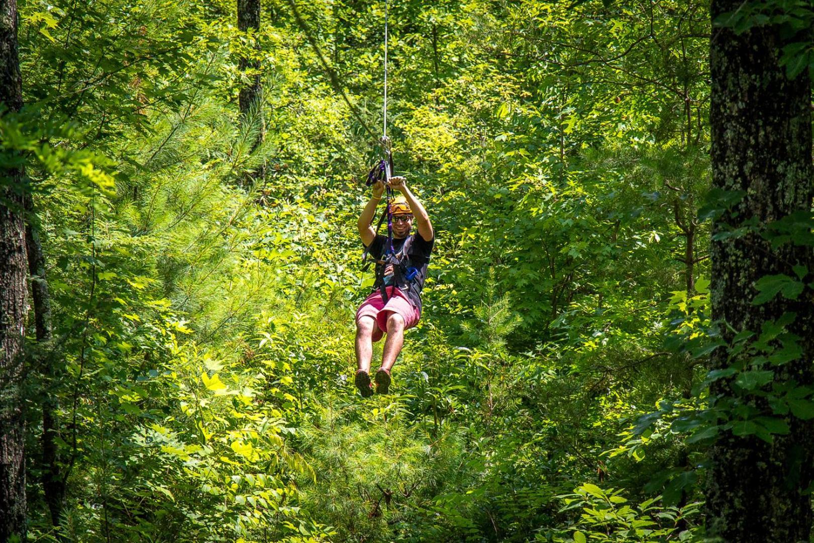 Bear Necessities, Luxury 5Bd Mtn Views, Hot Tub, Many Bear Sightings Villa Gatlinburg Kültér fotó