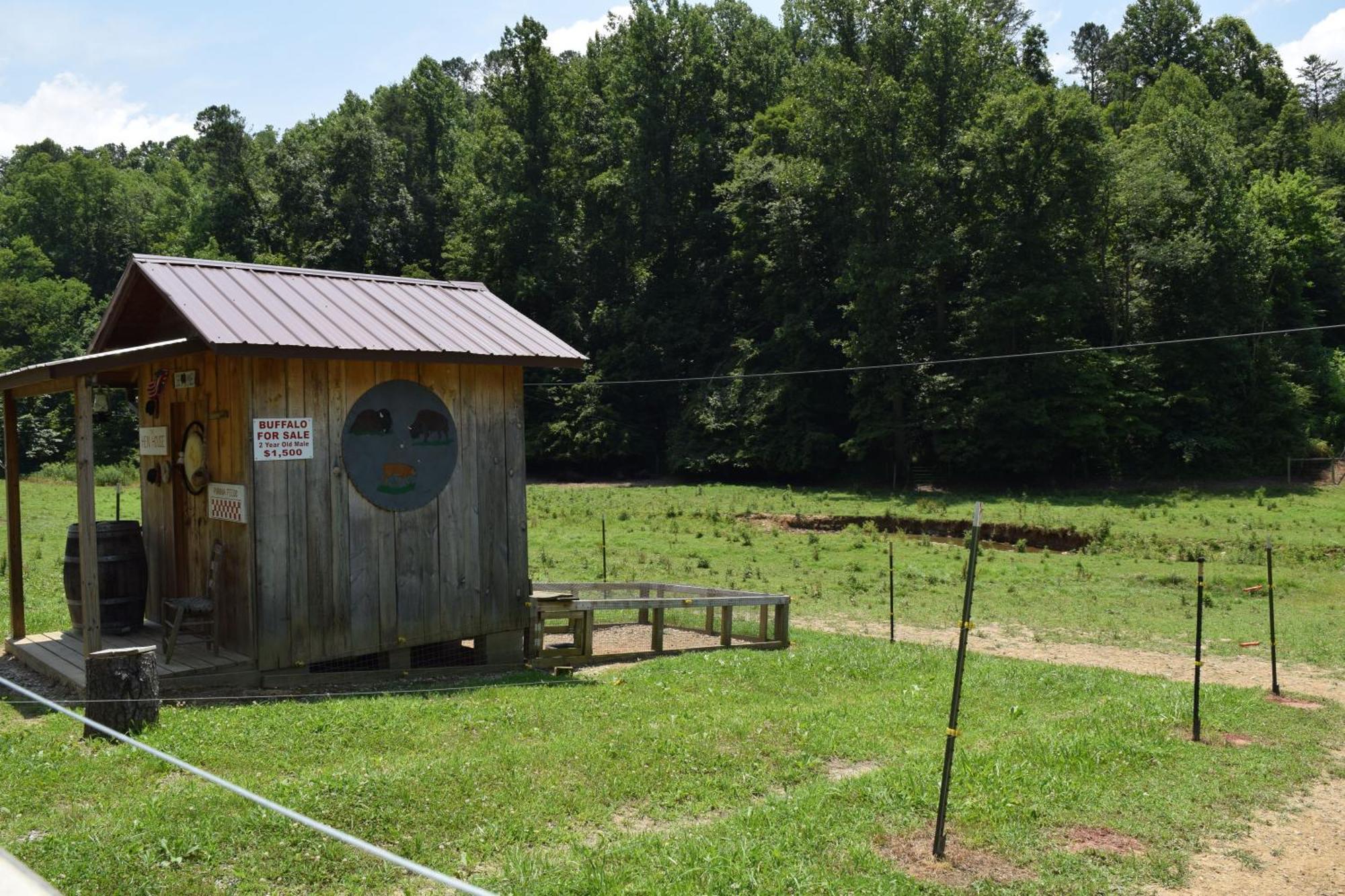 Bear Necessities, Luxury 5Bd Mtn Views, Hot Tub, Many Bear Sightings Villa Gatlinburg Kültér fotó