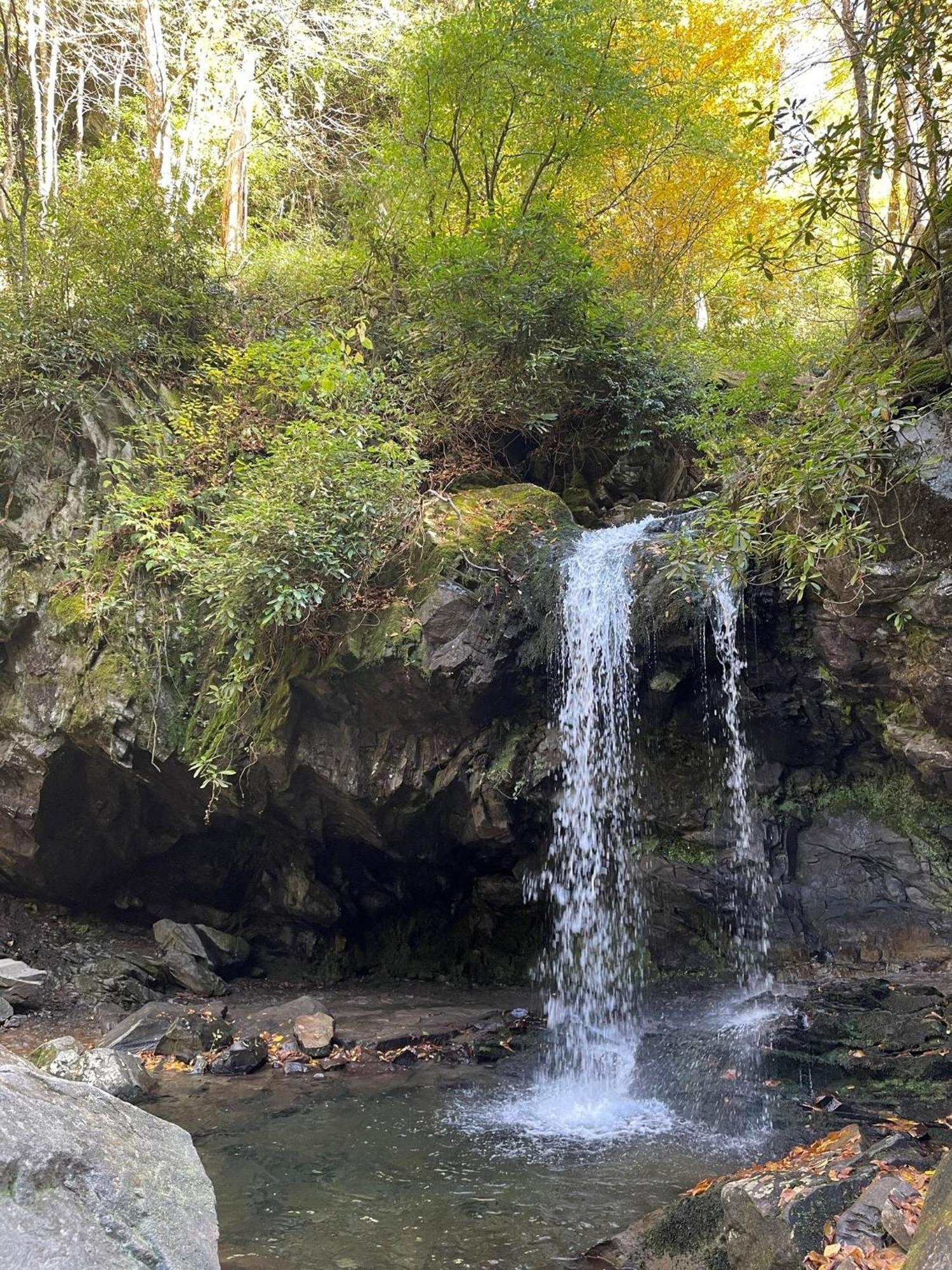 Bear Necessities, Luxury 5Bd Mtn Views, Hot Tub, Many Bear Sightings Villa Gatlinburg Kültér fotó