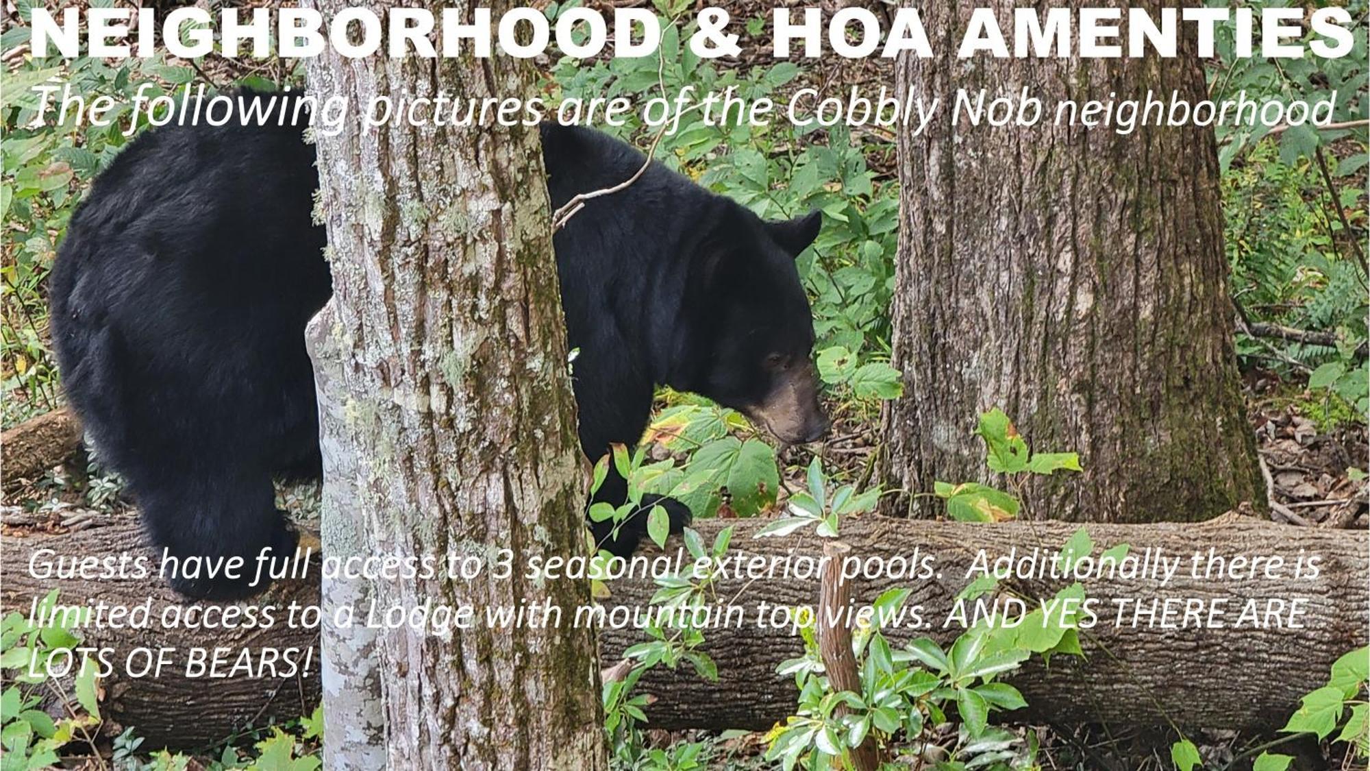 Bear Necessities, Luxury 5Bd Mtn Views, Hot Tub, Many Bear Sightings Villa Gatlinburg Kültér fotó